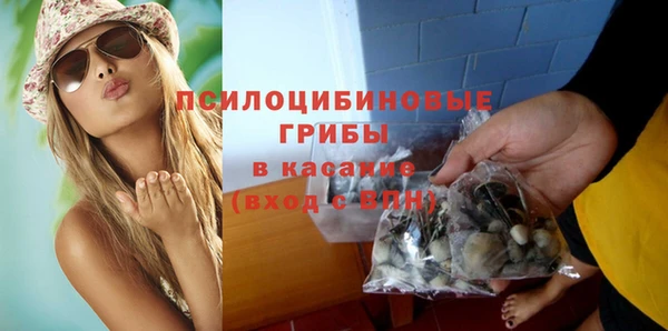 прущий лед Верея