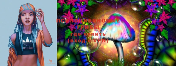 прущий лед Верея