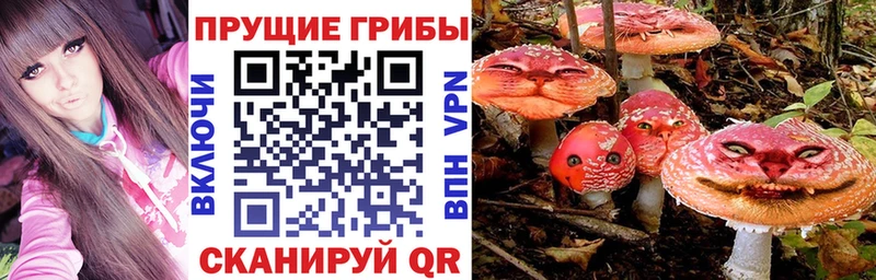 Псилоцибиновые грибы Psilocybine cubensis Павлово