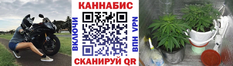 Купить где  Павлово  Марихуана THC 21% 